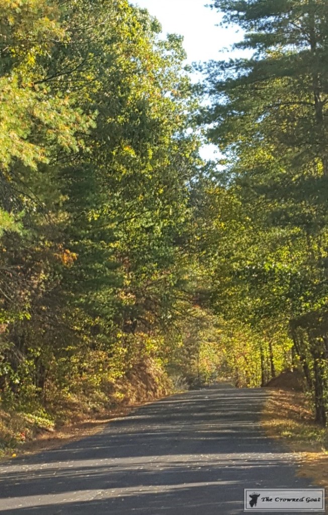 fall-in-blue-ridge-2