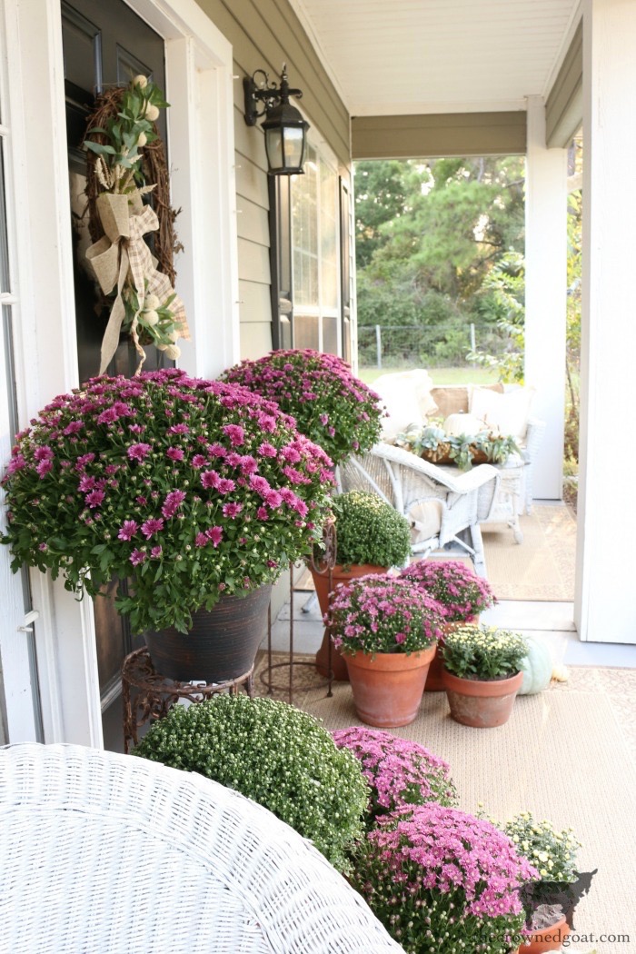 Fall Porch Decorating Ideas