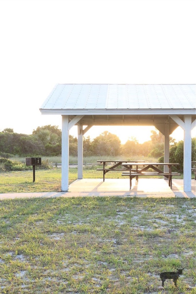 Simple Pleasures to Enjoy This Summer: Visit a State Park-The Crowned Goat 